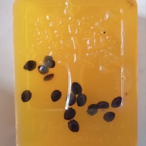 Sabonete de Maracujá